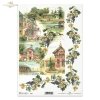 vintage, vines, grapes, wine grapes, houses, villas